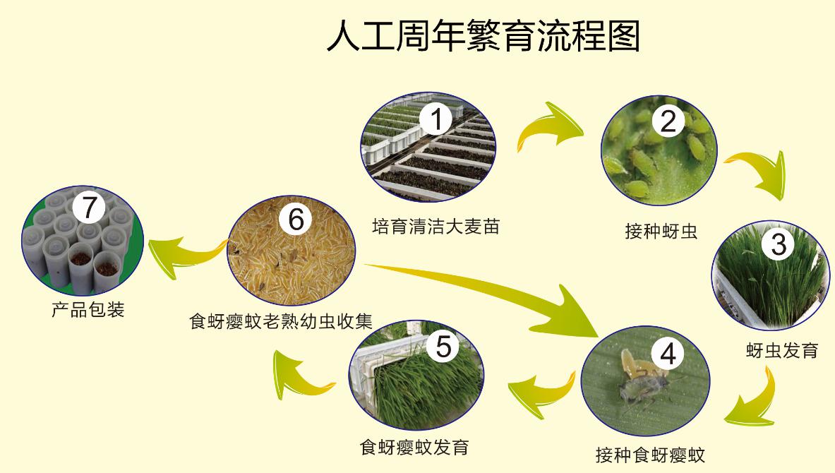 ����ʹ-fun88����ʹ-�ٷ���վ