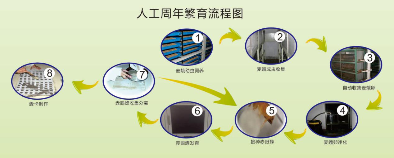 ����ʹ-fun88����ʹ-�ٷ���վ