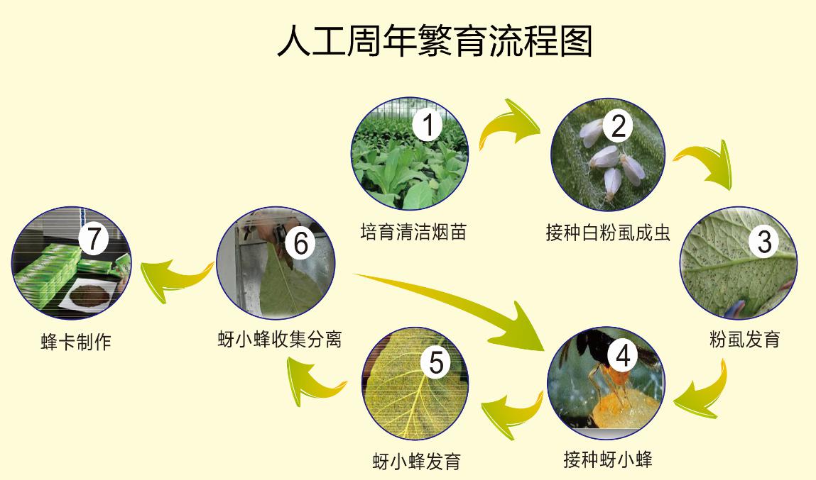 ����ʹ-fun88����ʹ-�ٷ���վ