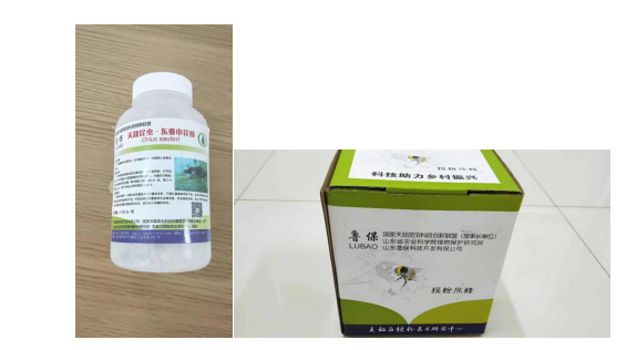 ����ʹ-fun88����ʹ-�ٷ���վ