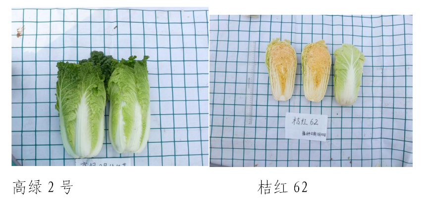 ����ʹ-fun88����ʹ-�ٷ���վ