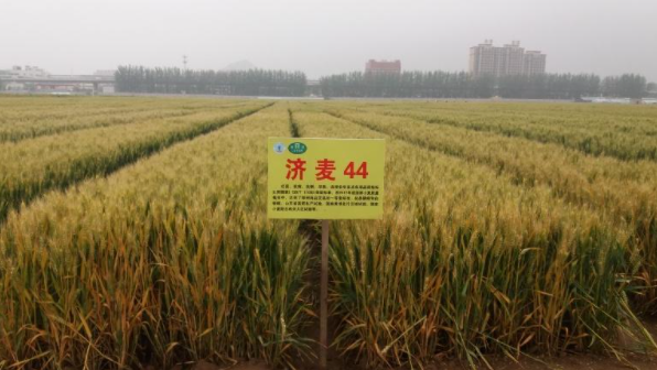 ����ʹ-fun88����ʹ-�ٷ���վ