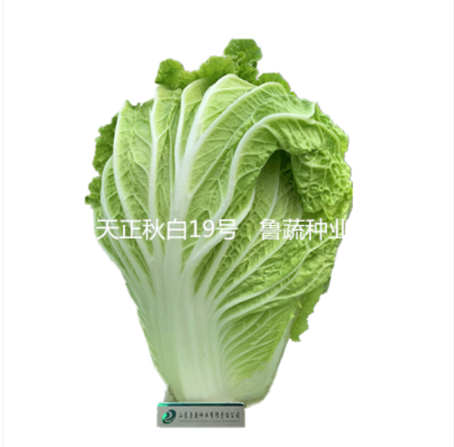 ����ʹ-fun88����ʹ-�ٷ���վ