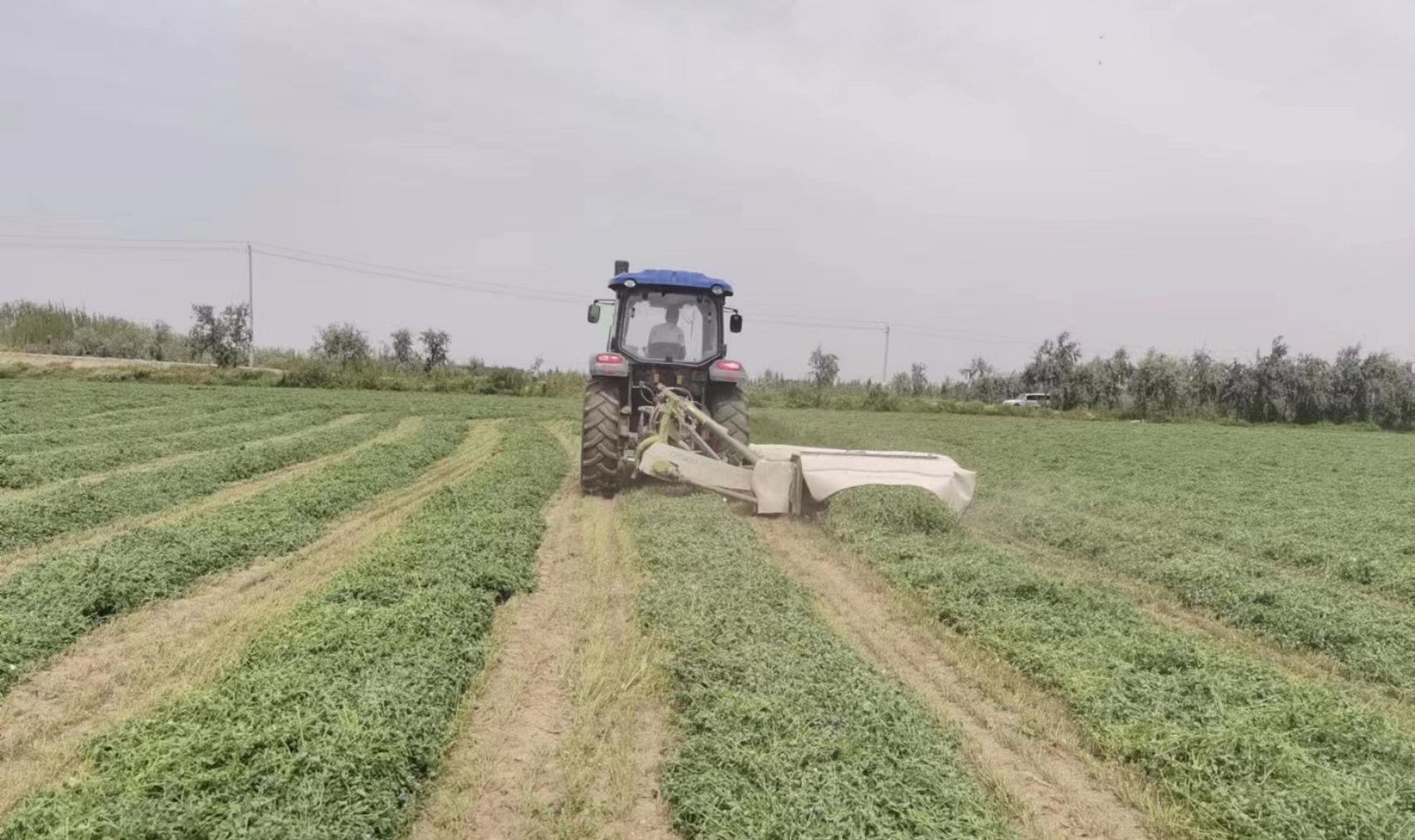 ����ʹ-fun88����ʹ-�ٷ���վ